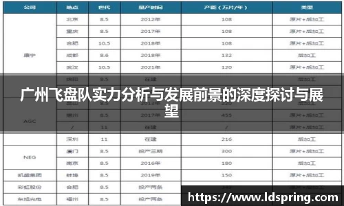广州飞盘队实力分析与发展前景的深度探讨与展望