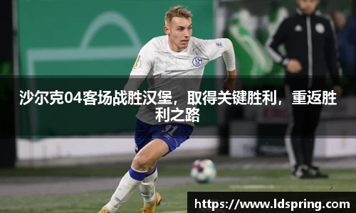 沙尔克04客场战胜汉堡，取得关键胜利，重返胜利之路